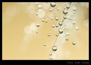 c25-Fairy Dust Drops.jpg